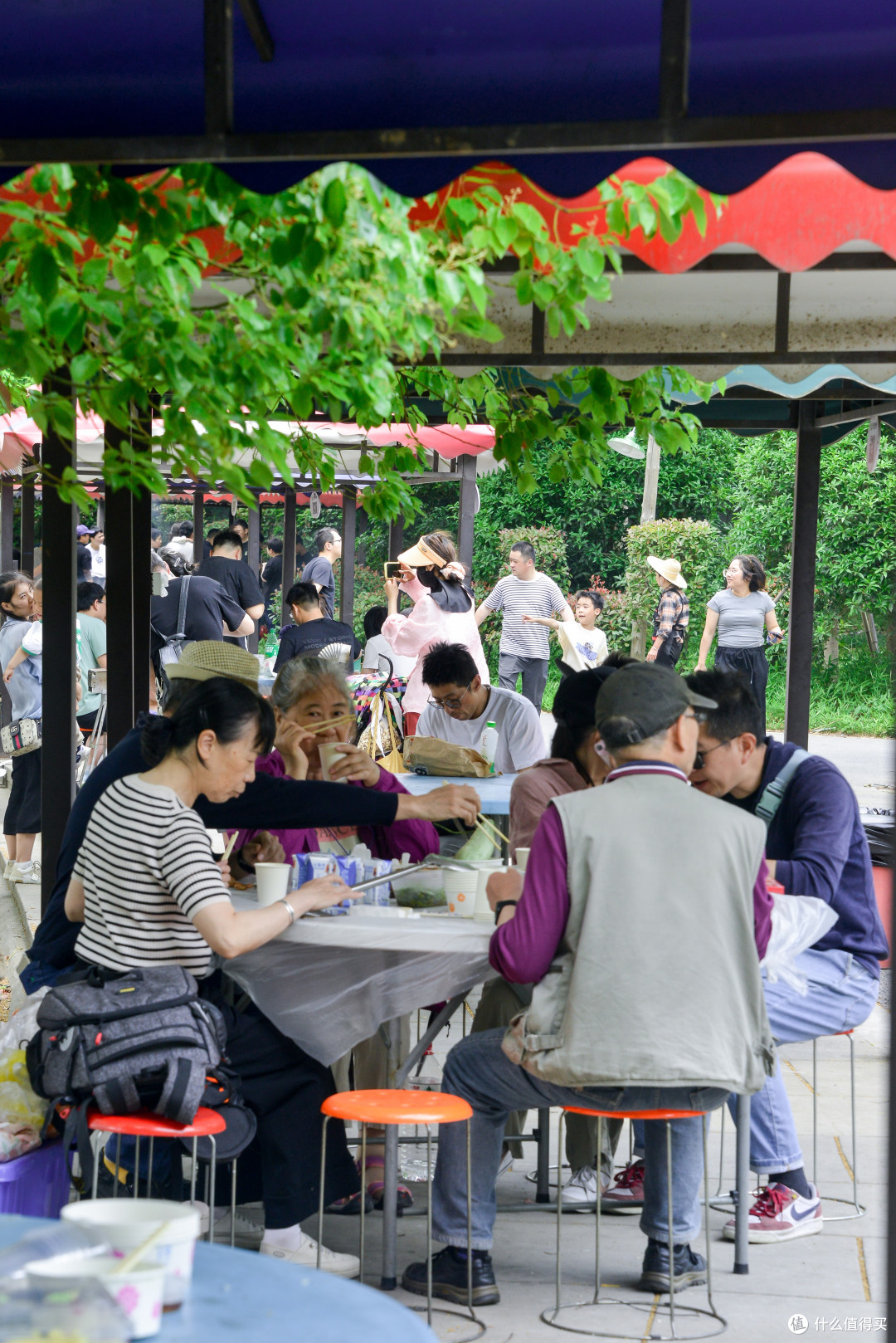 国庆逛神龙湾森林:一场松弛感拉满的遛娃之旅