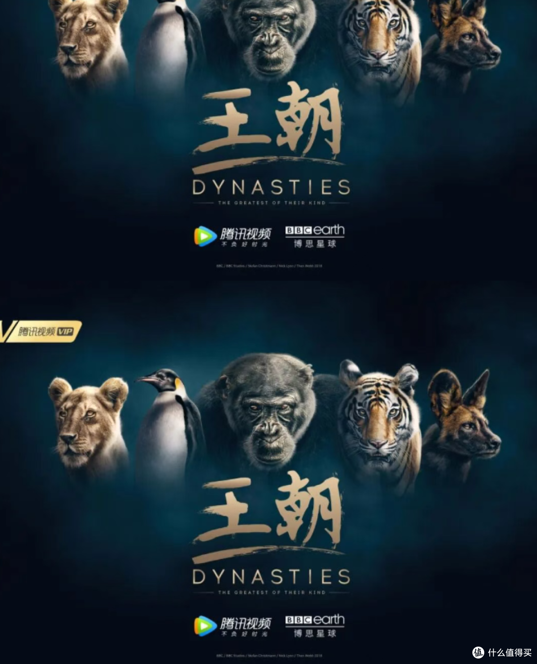 这8部BBC纪录片,每一部都在追问一个你不敢细想的问题