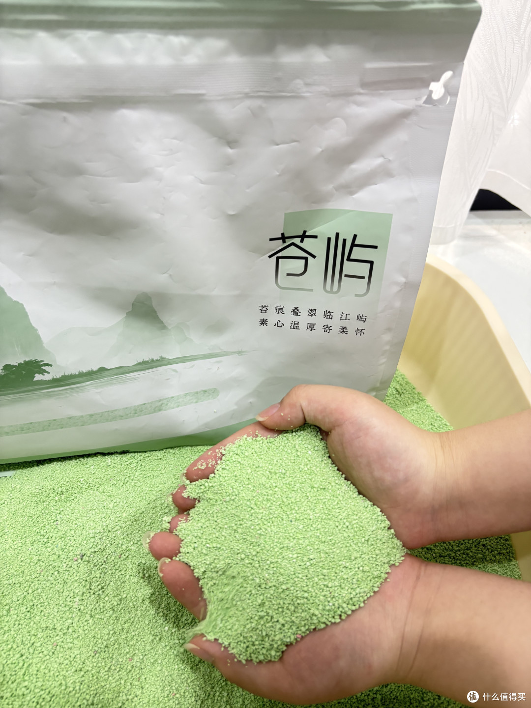 养猫三年才明白:好猫砂要兼顾的是什么