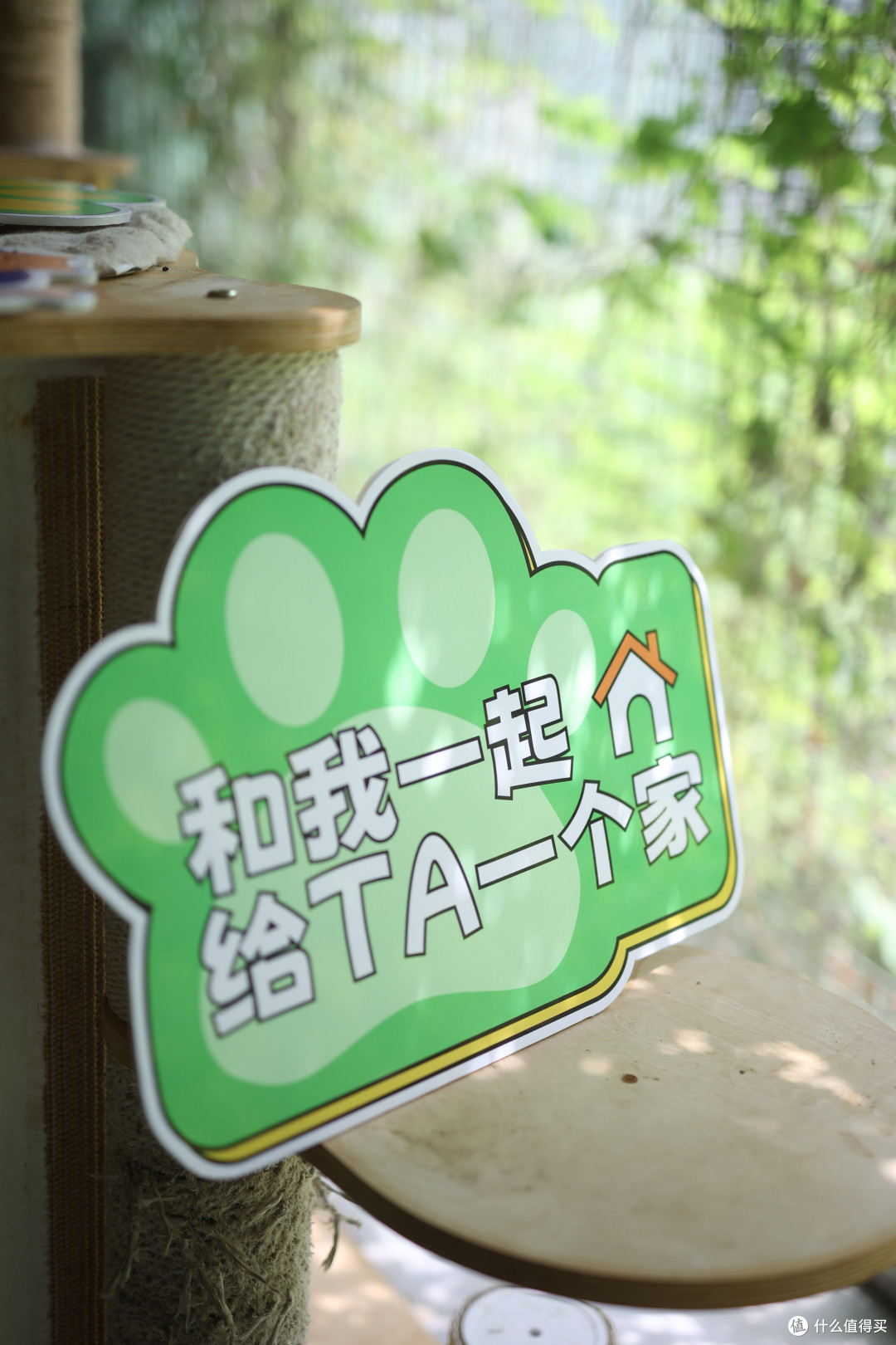 养猫三年才明白:好猫砂要兼顾的是什么