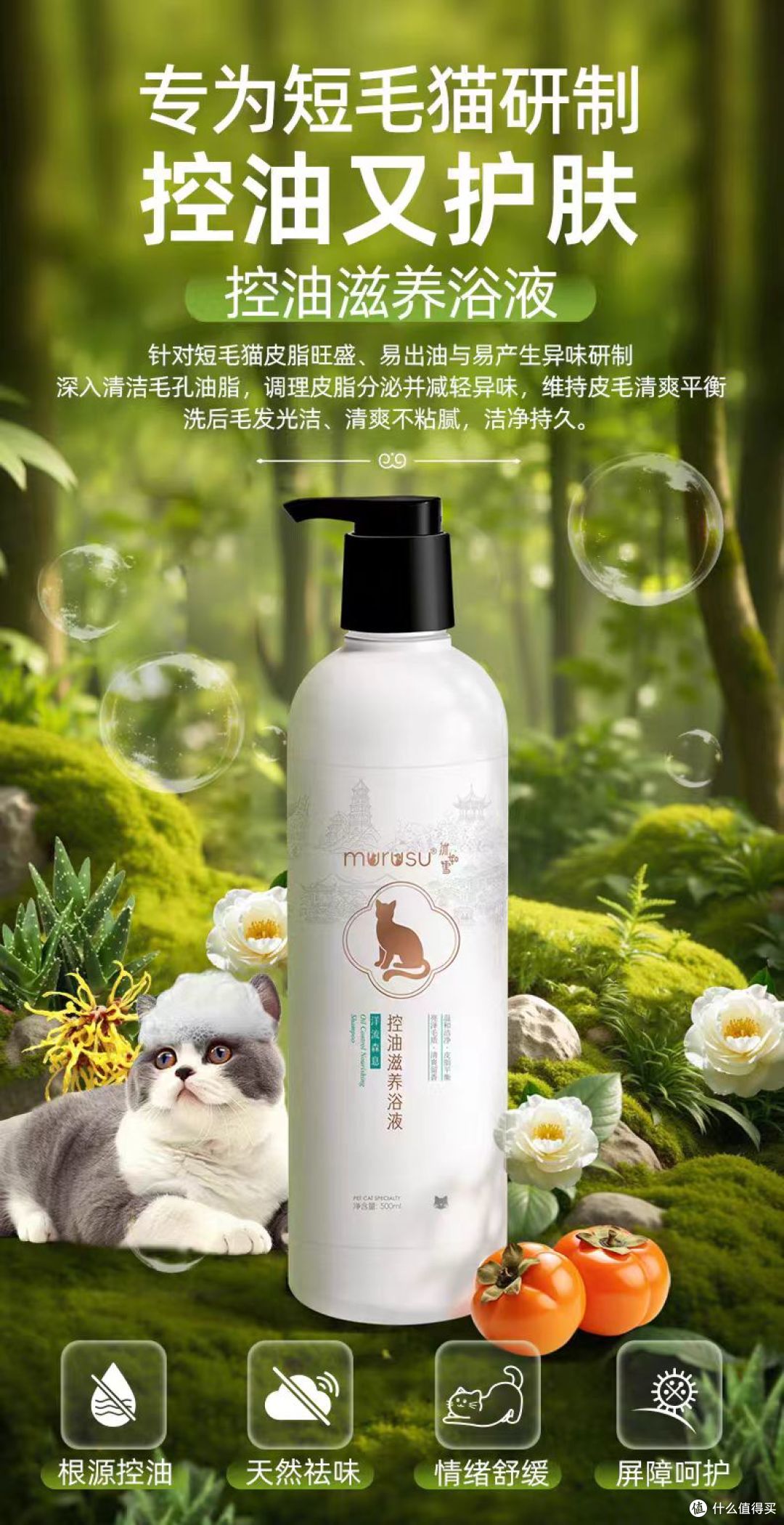 沐如雪短毛猫专用香波太适配了