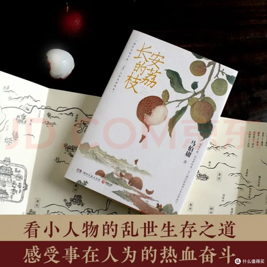 马伯庸长安的荔枝阅读推荐