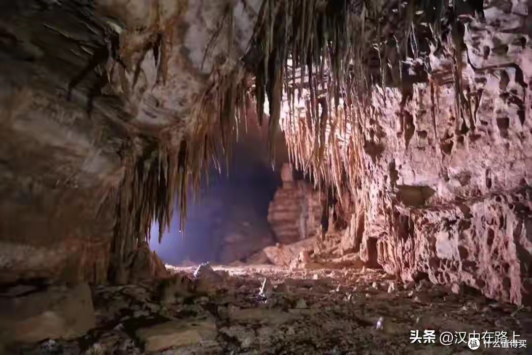益生菌36株怎么看?放进多菌株产品中比较,透明度比数量更值得看