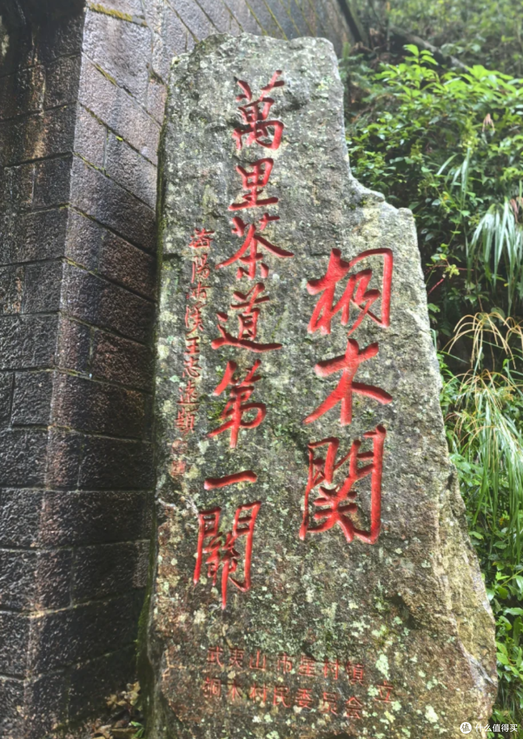 又是金秋红茶季,2026 年红茶产品推荐