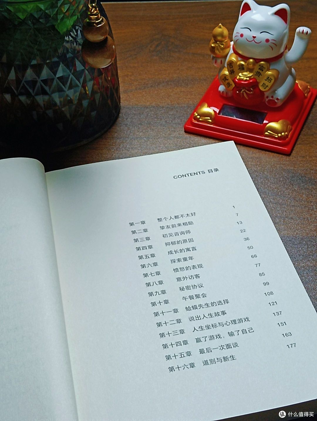 打动我的不是蛤蟆,是那个叫苍鹭的咨询师