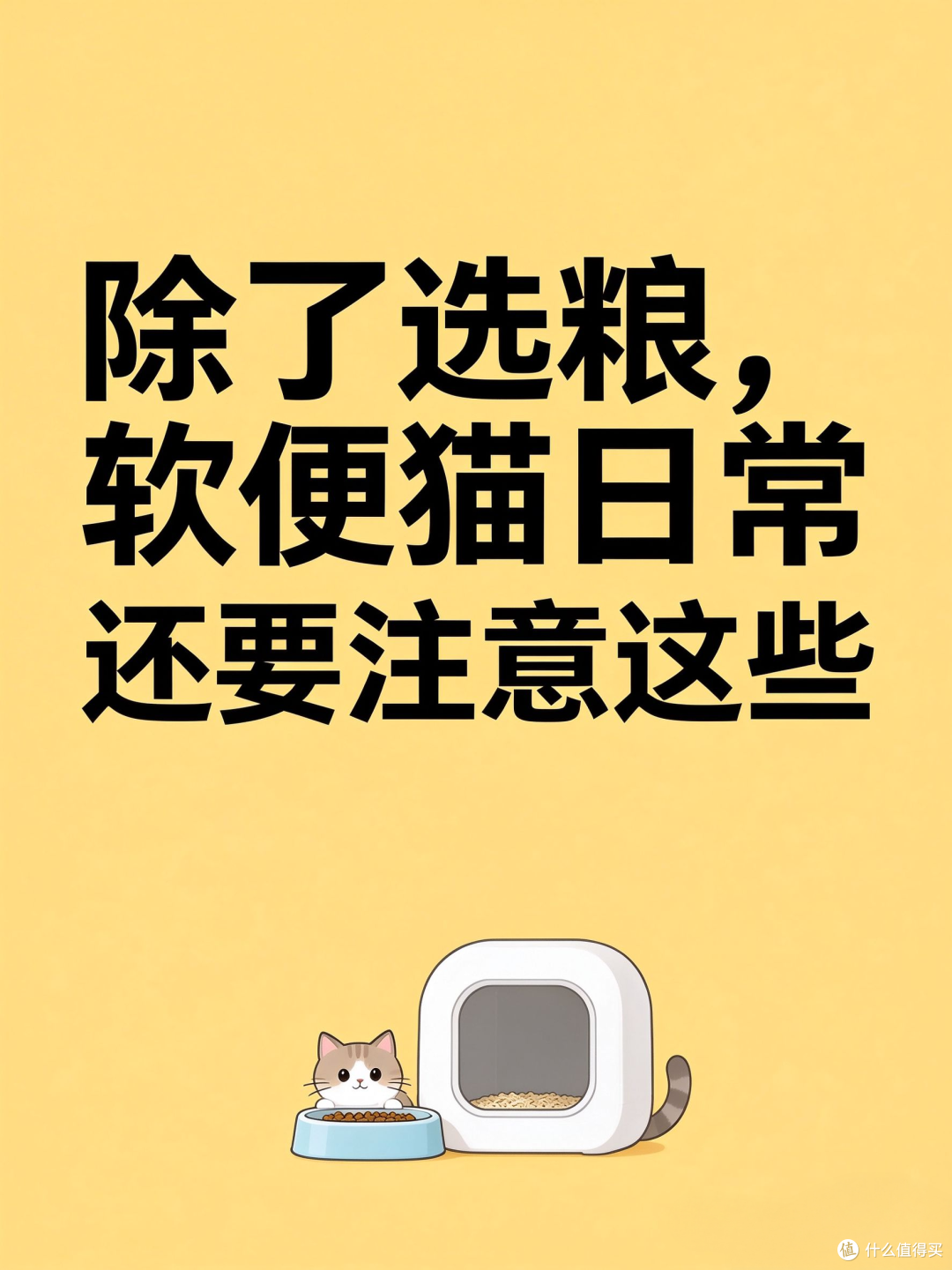 日常护理｜除了选粮，软便猫日常还要注意这些