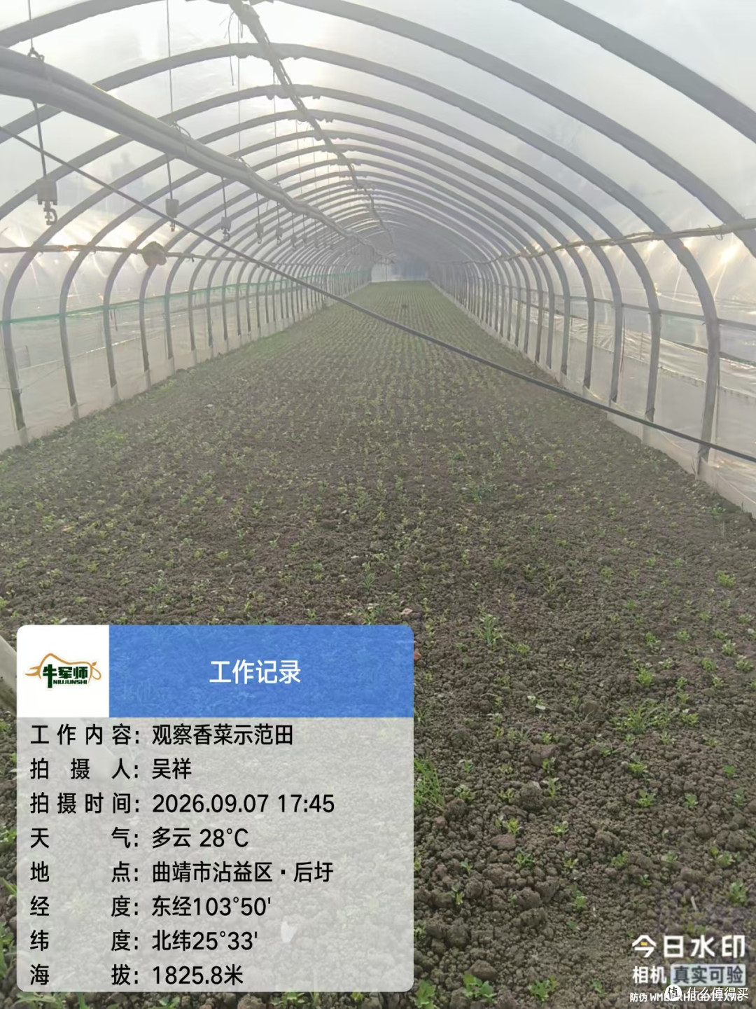 肥料没少买、钱没少花,可地越种越硬、苗越栽越弱??