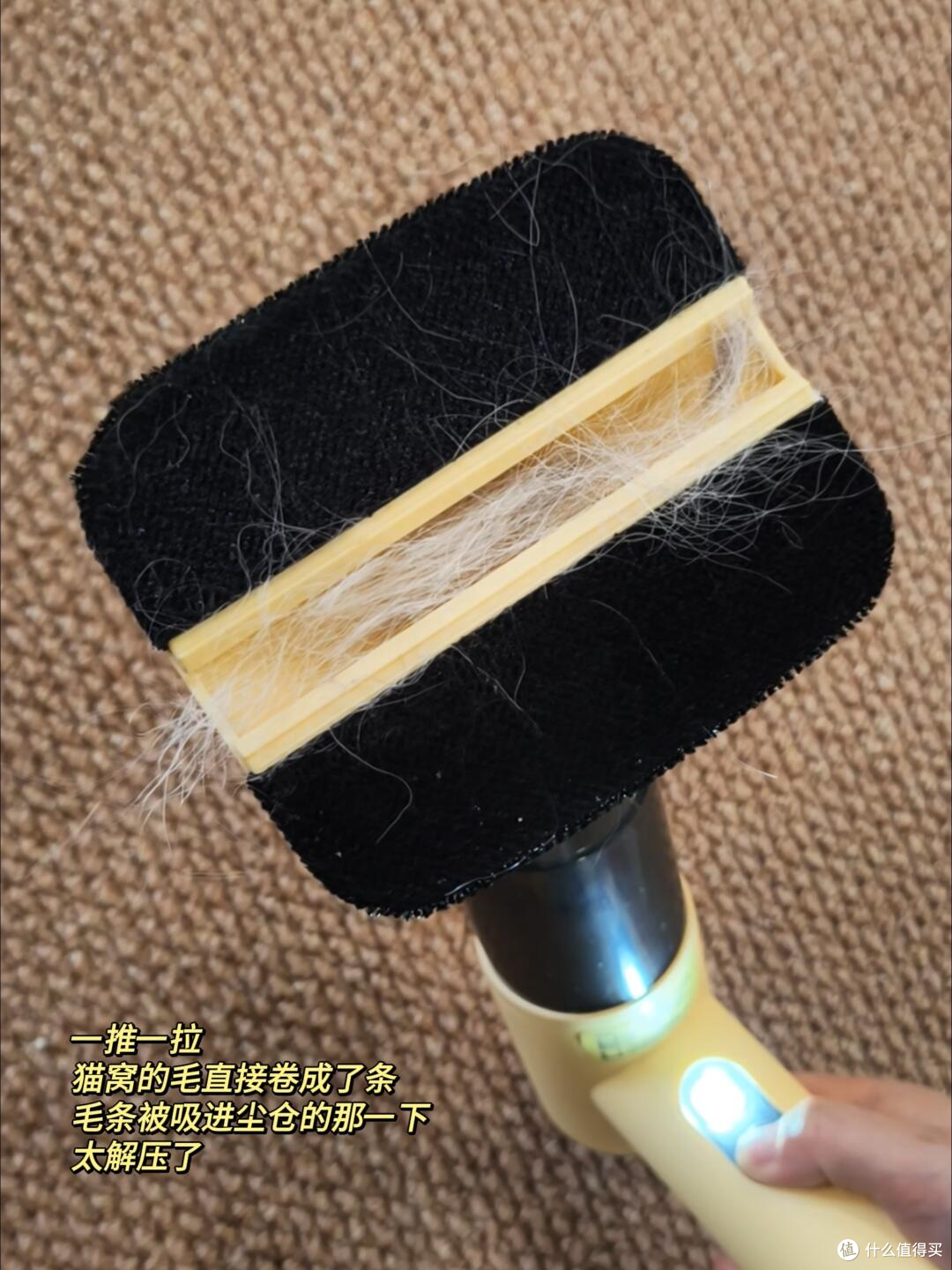 猫毛满天飞怎么办？养猫家庭Pet01宠物毛发手持吸尘器真实体验