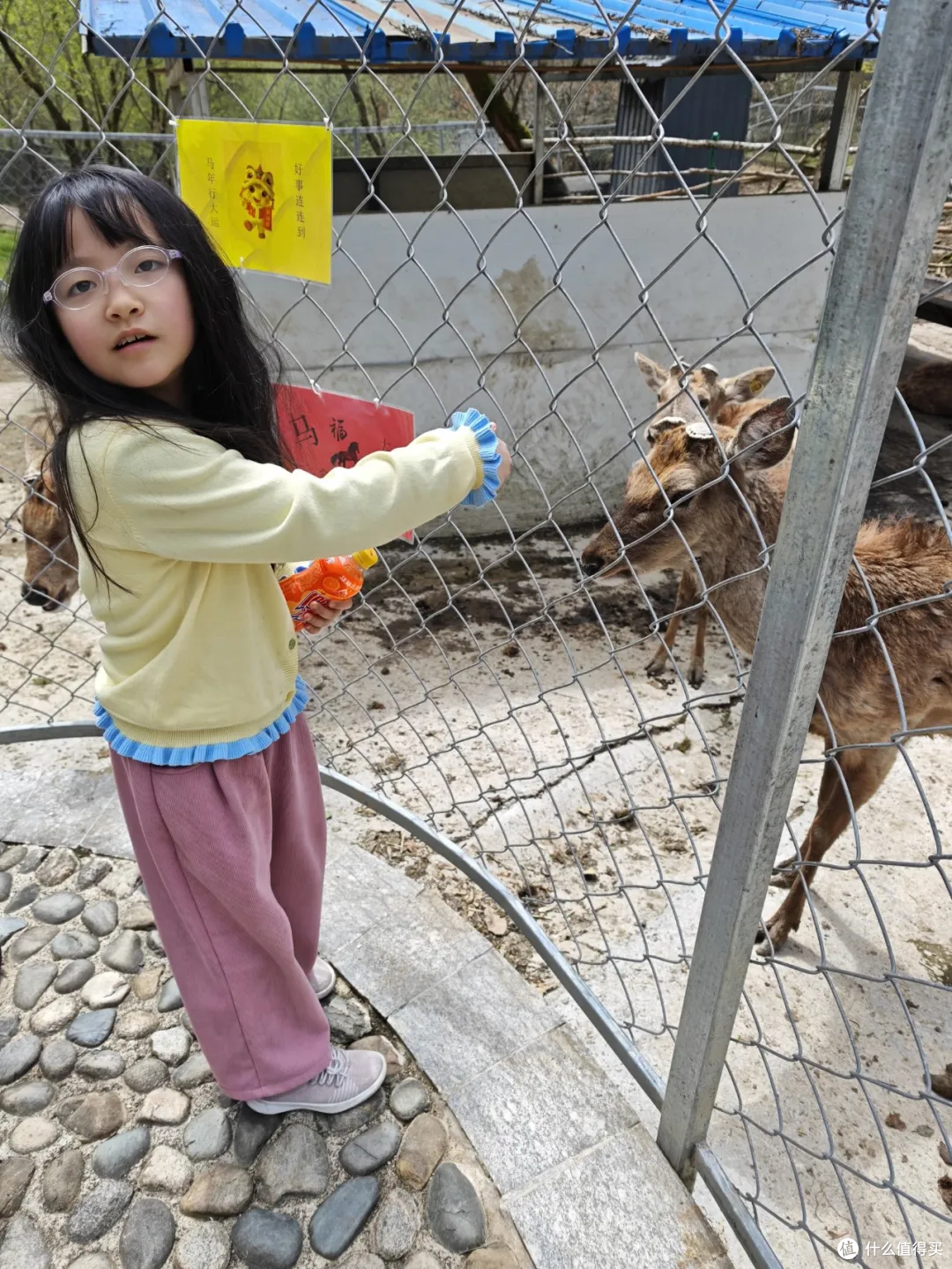 秋日不远走,西安周边这座秦岭高山湿地,刚好用来放空