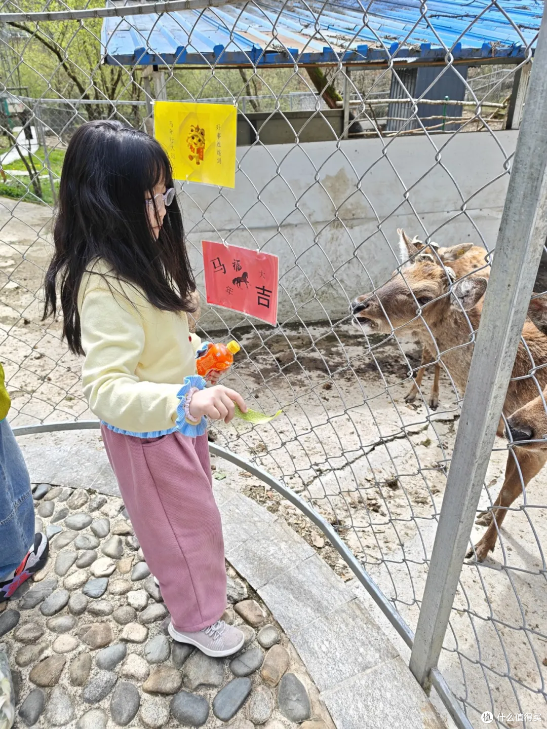 秋日不远走,西安周边这座秦岭高山湿地,刚好用来放空