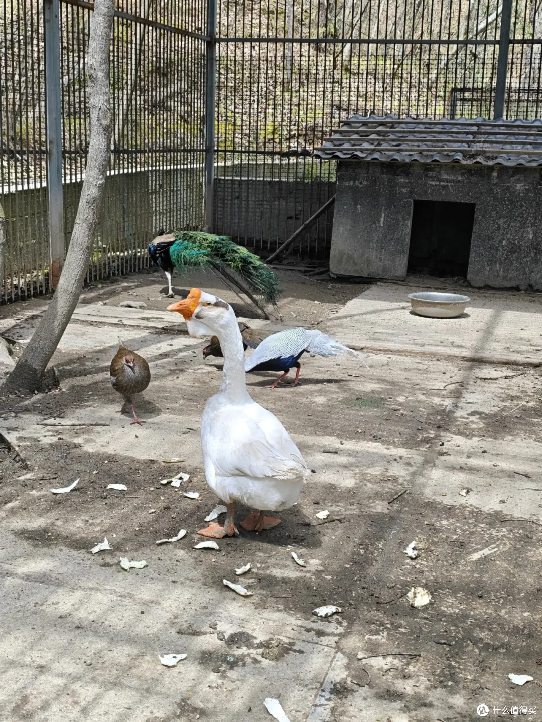 秋日不远走,西安周边这座秦岭高山湿地,刚好用来放空