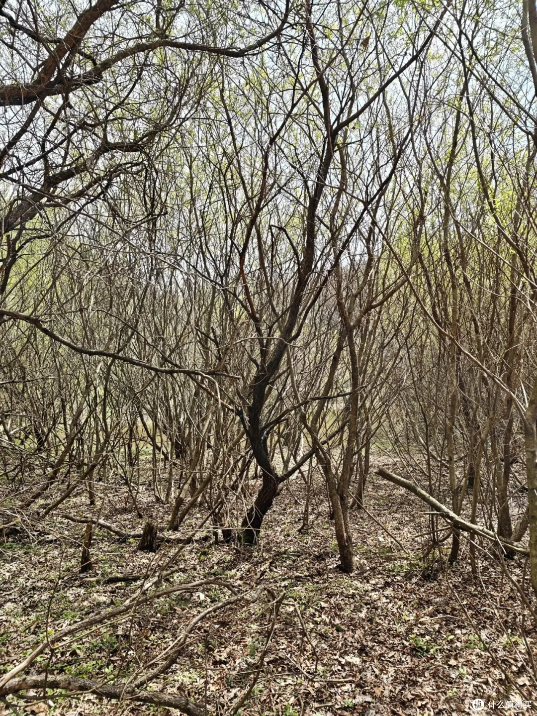 秋日不远走,西安周边这座秦岭高山湿地,刚好用来放空