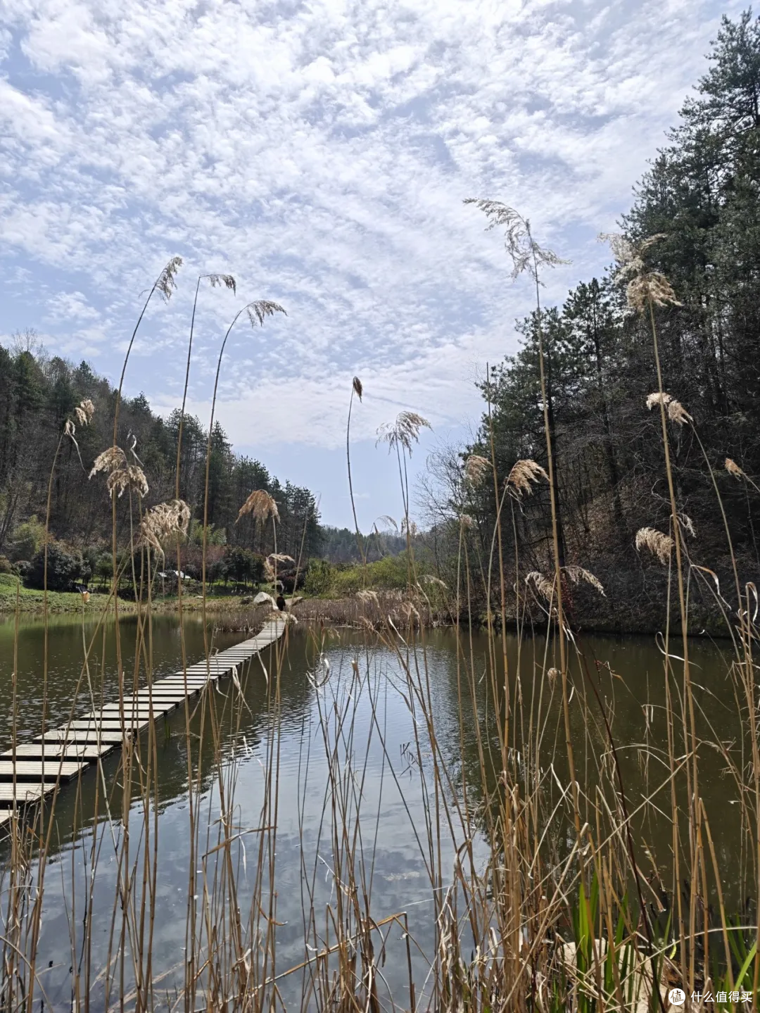 秋日不远走,西安周边这座秦岭高山湿地,刚好用来放空