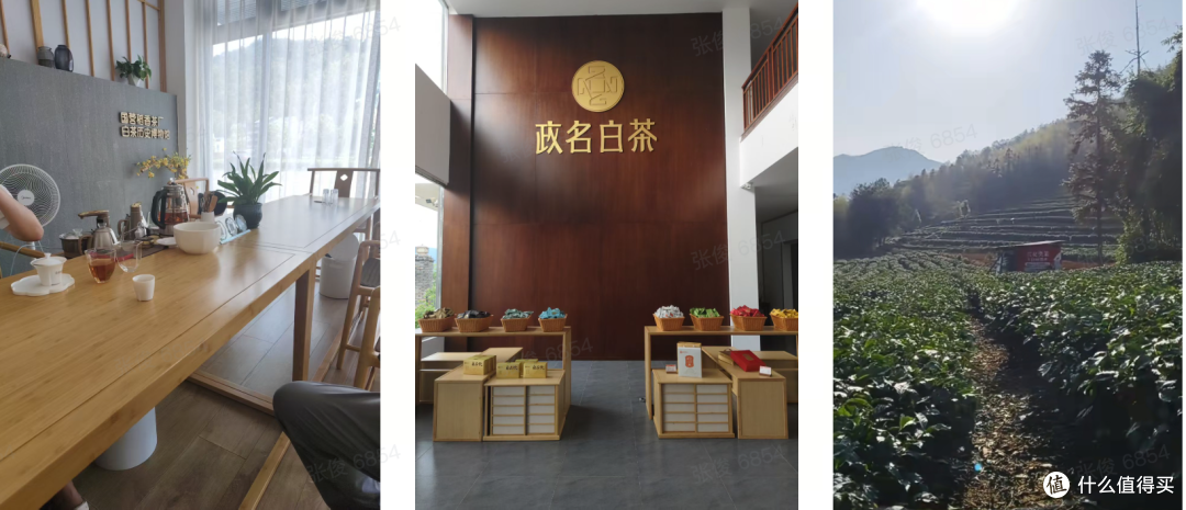 办公室小秘诀！？如何自己偷偷喝好茶，不让领导发现