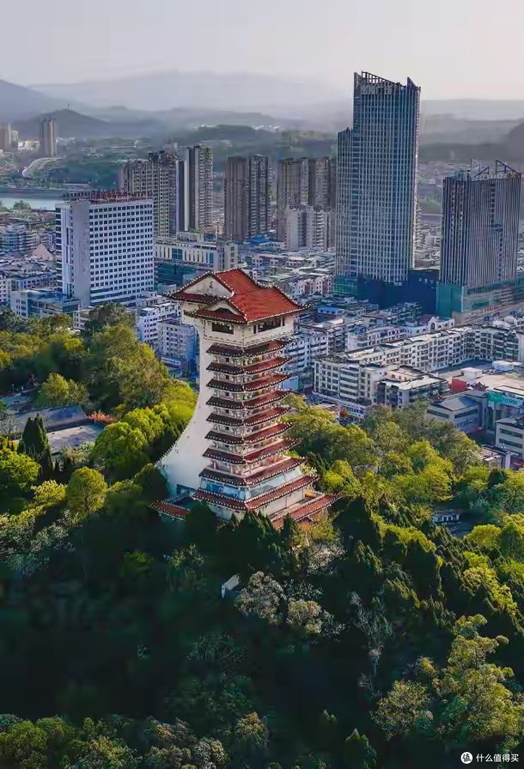 DHA藻油与记忆力营养怎么选?五款产品实际含量与配方路线对比