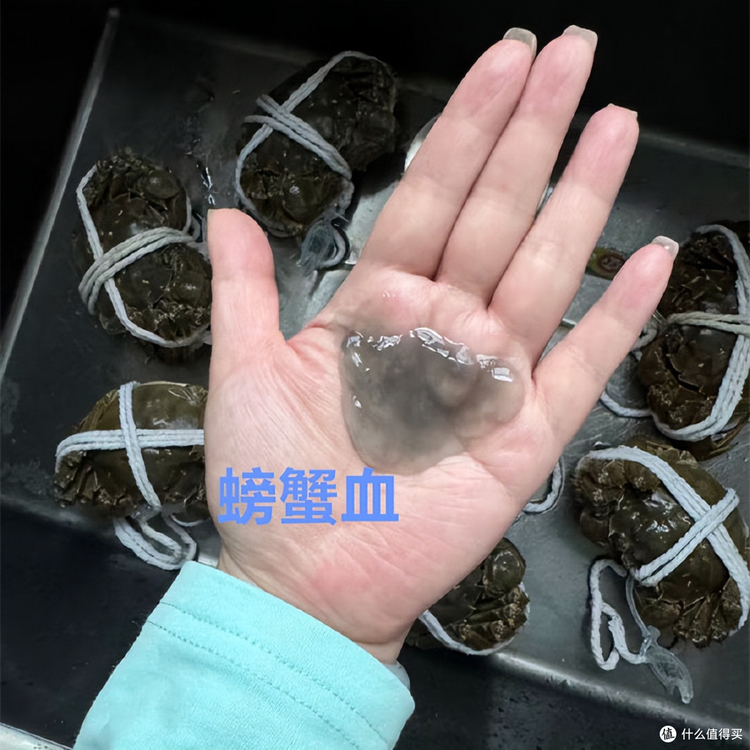蒸螃蟹时总冒出的“白鸡蛋”？是脏东西还是蟹膏？很多人扔错了