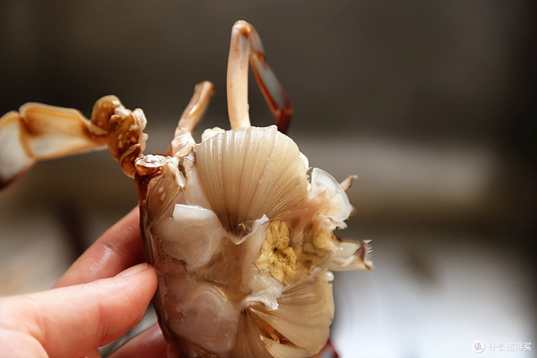 蒸螃蟹时总冒出的“白鸡蛋”？是脏东西还是蟹膏？很多人扔错了