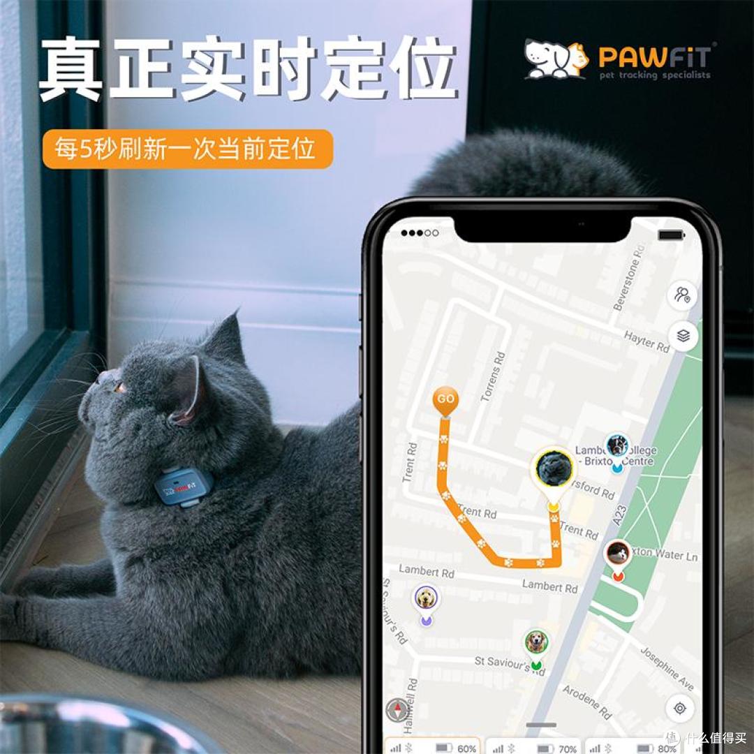 Pawfit Lite 定位器真实体验|散养猫主人客观测评