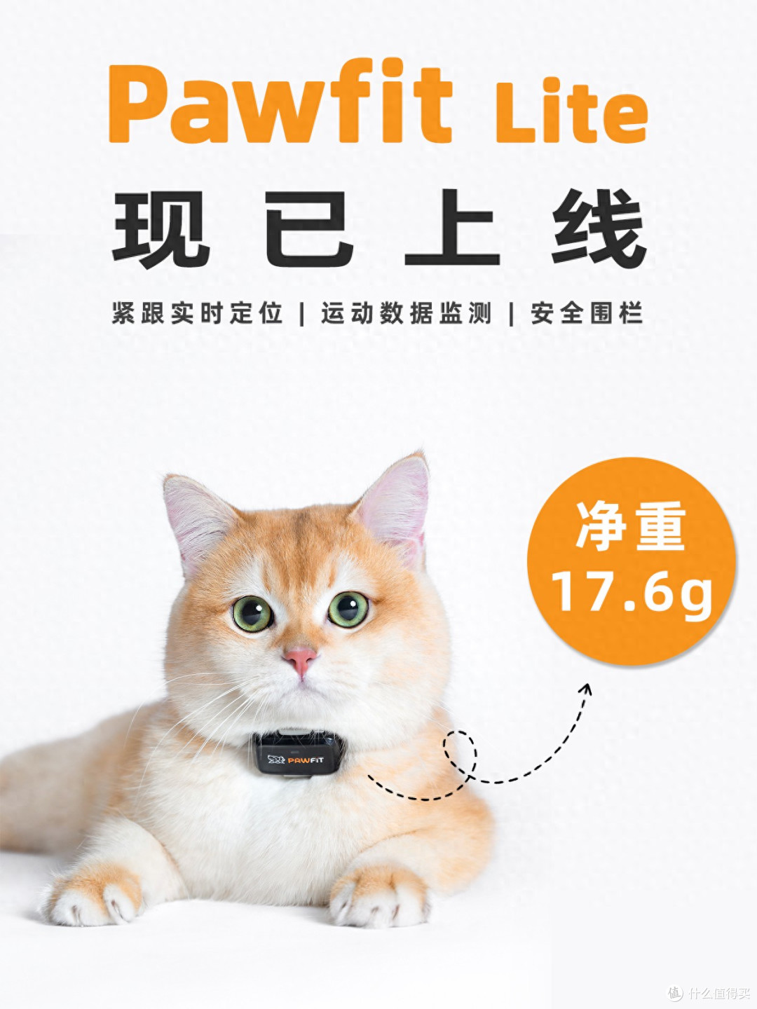 Pawfit Lite 定位器真实体验|散养猫主人客观测评