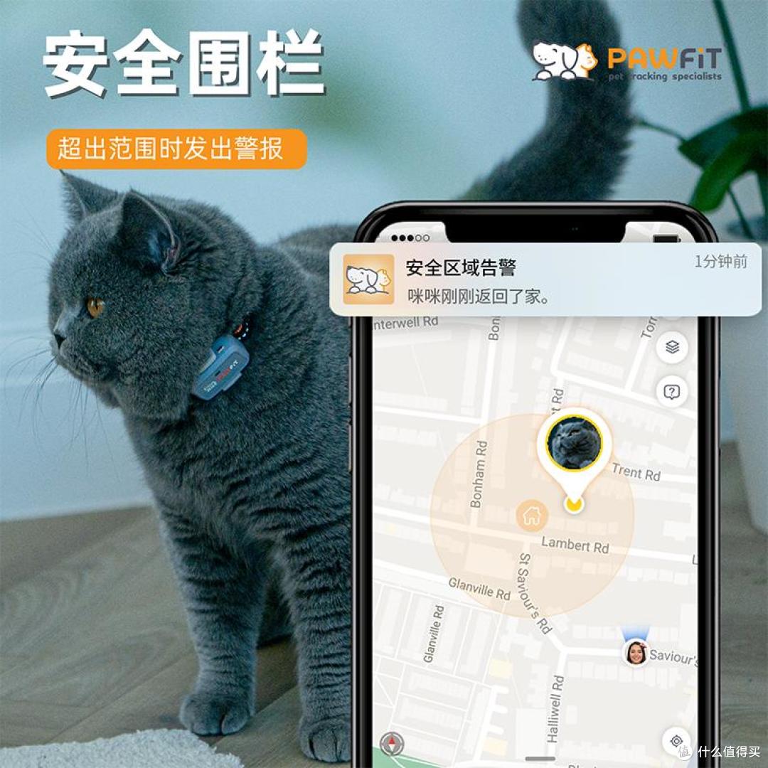Pawfit Lite 定位器真实体验|散养猫主人客观测评