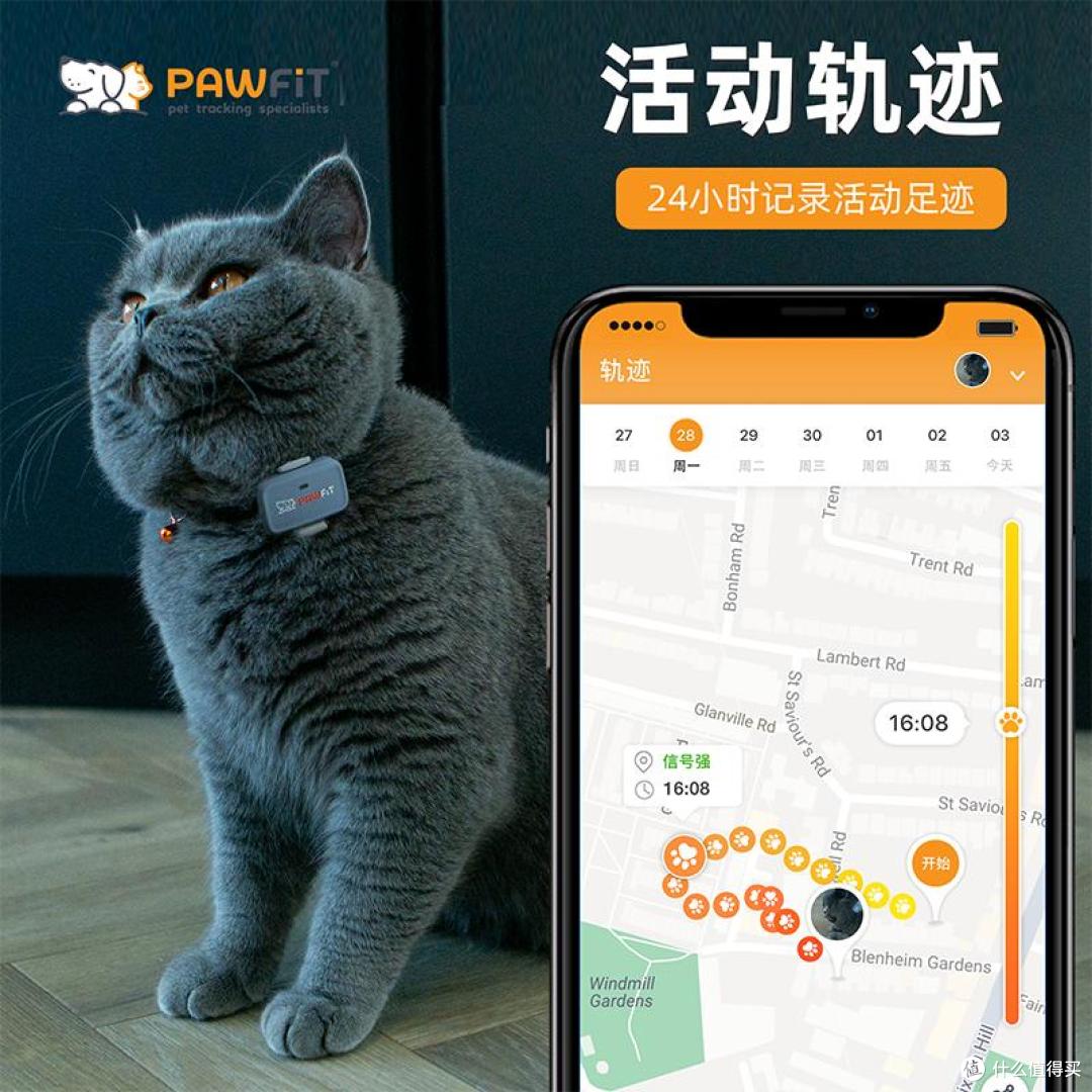 Pawfit Lite 定位器真实体验|散养猫主人客观测评