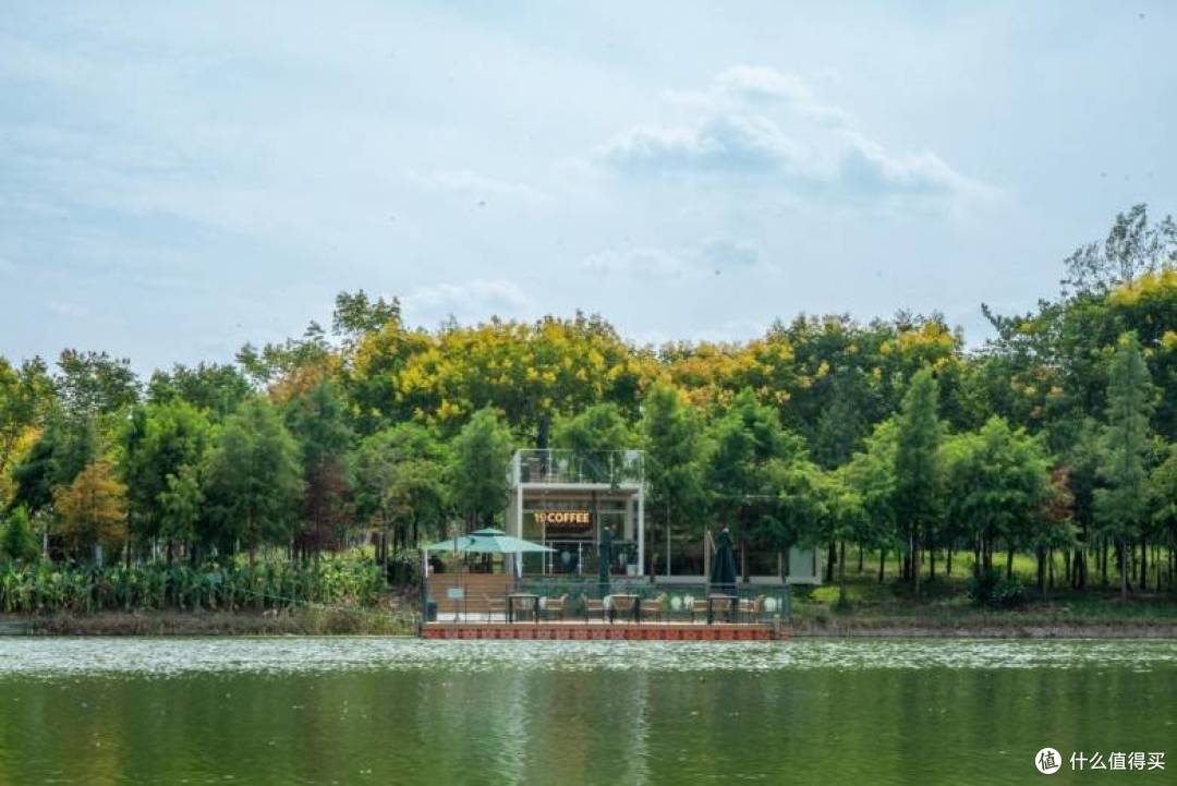 青浦又一家森林咖啡店开业,跨越2400公里的风味连接