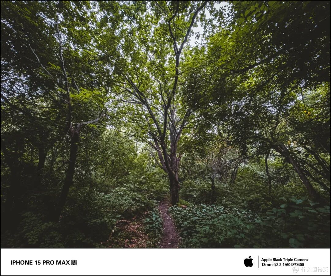 iPhone 18 Pro Max 全焦段 + 可变光圈 + 4K视频 + 超广对比
