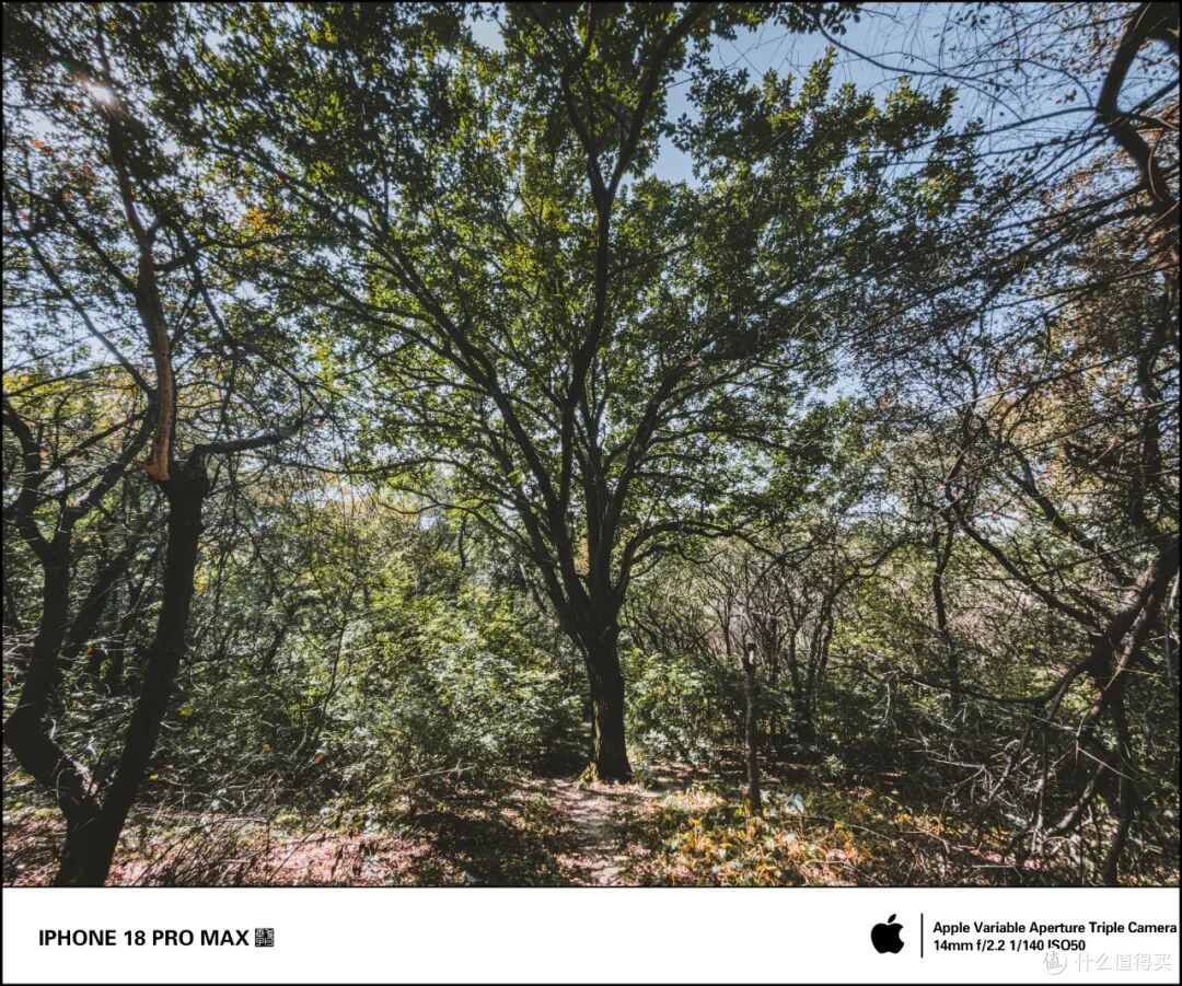 iPhone 18 Pro Max 全焦段 + 可变光圈 + 4K视频 + 超广对比