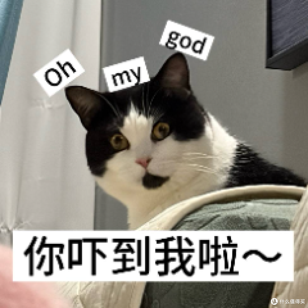 洗地机到底是智商税还是真神器？有娃家庭深度体验友望天鹅洗地机