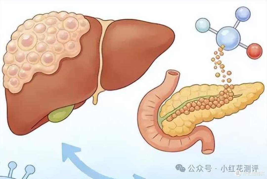 把配料表里的白砂糖还给我们这都能上热搜?果葡糖浆是资本阴谋?