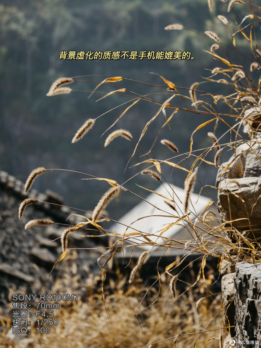 微单与卡片机旅行实拍对比