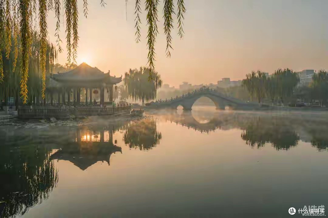 海参买什么样的好?2026年买参前必看的六个判断维度