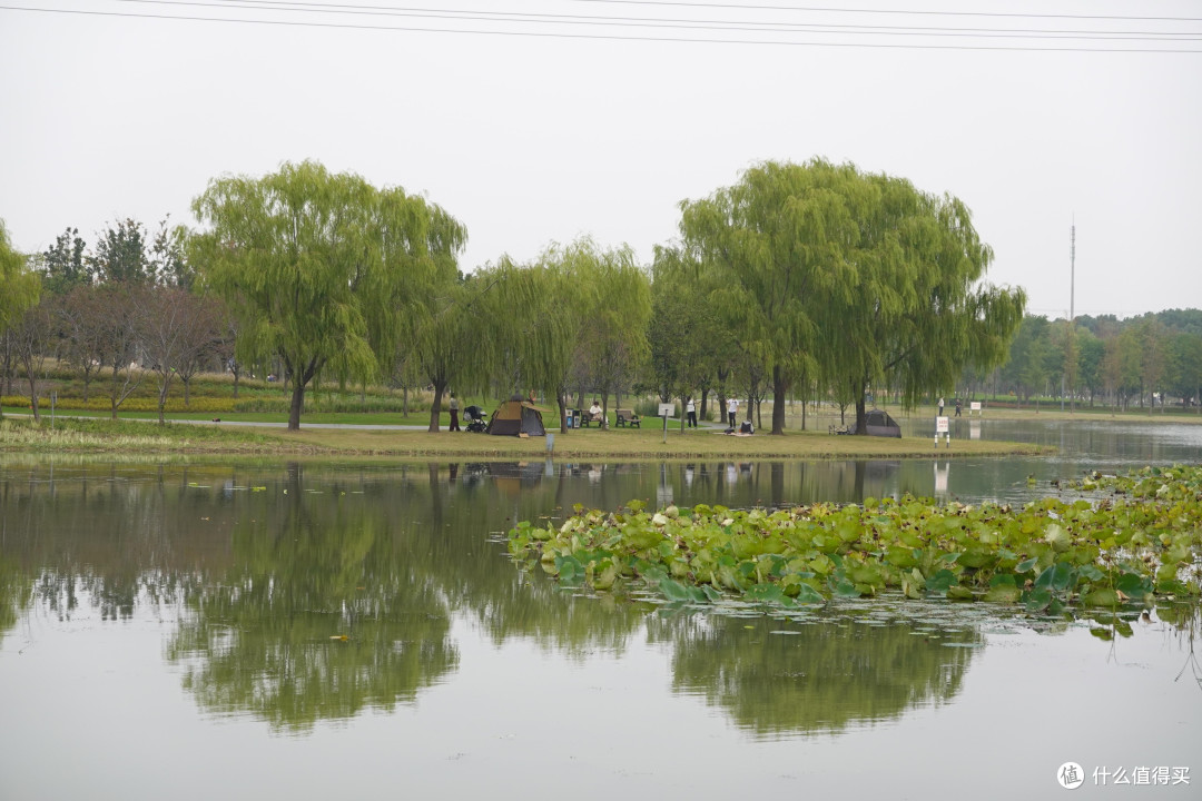 旅拍相机选购：微单与卡片机实测对比
