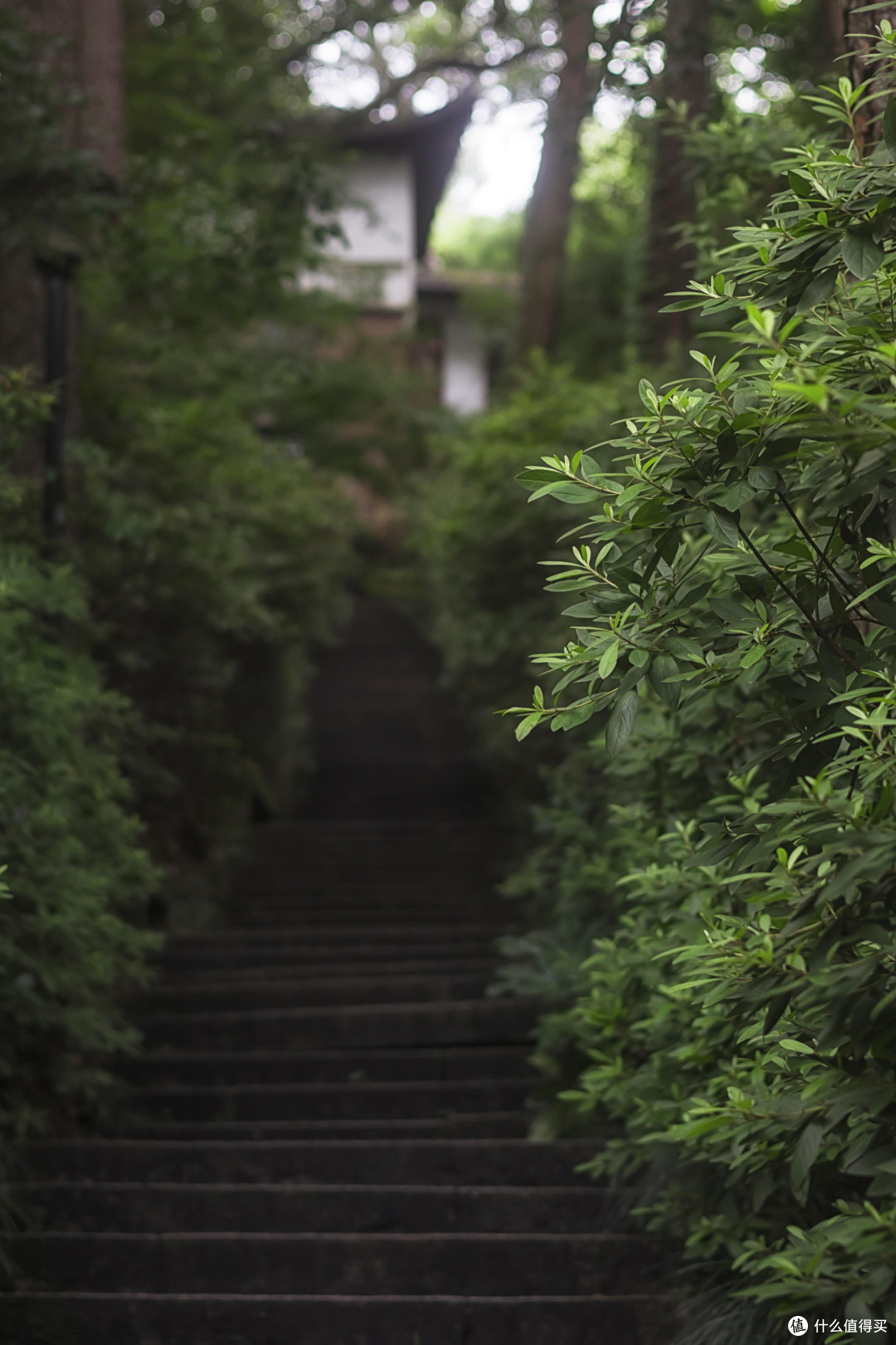 旅拍相机选购：微单与卡片机实测对比