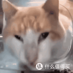 123云盘这次,踩雷区了