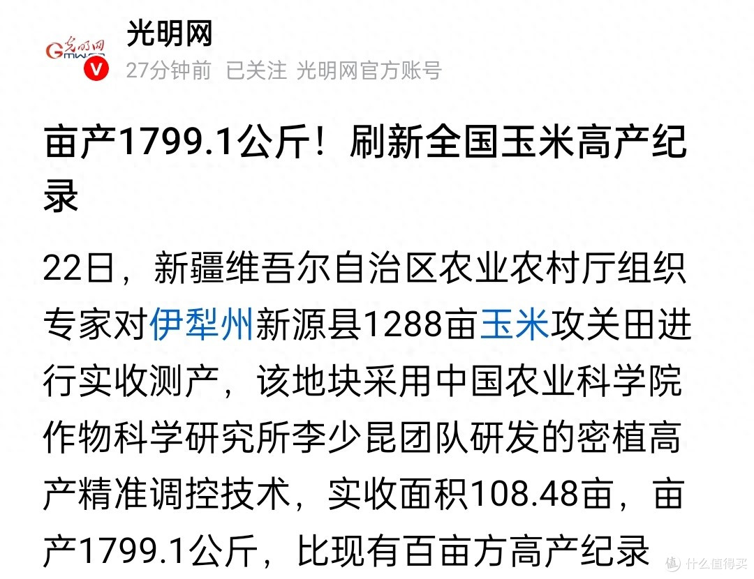 刷新纪录!我国新疆一地玉米亩产近3600斤,怎么会这么高?