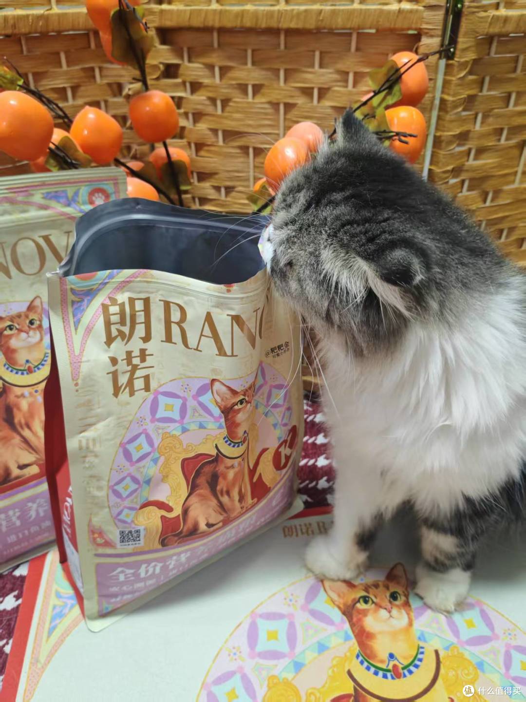国庆返乡想拆掉猫粮外袋省行李:先把退换条款和批号留下