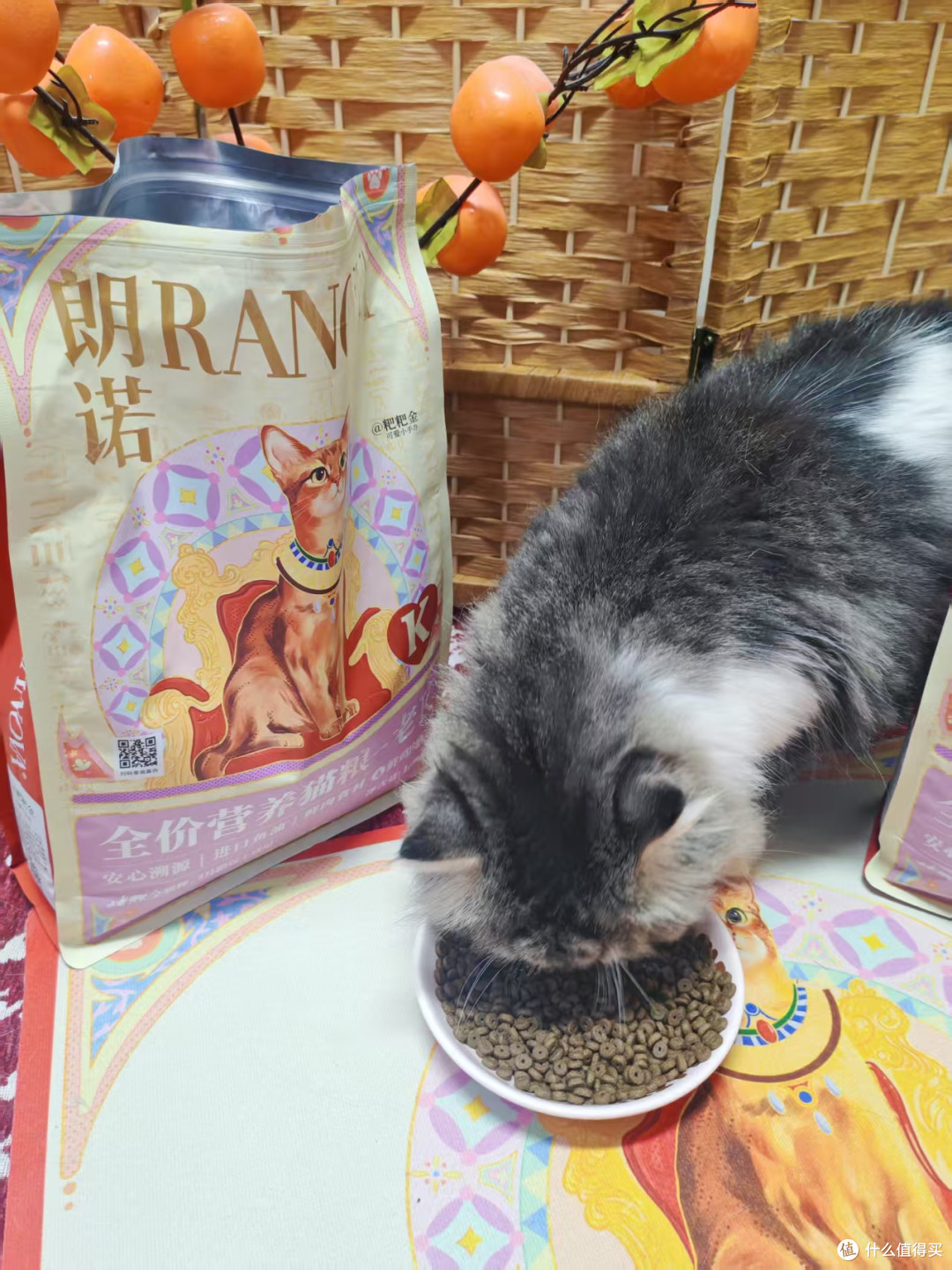 国庆返乡想拆掉猫粮外袋省行李:先把退换条款和批号留下