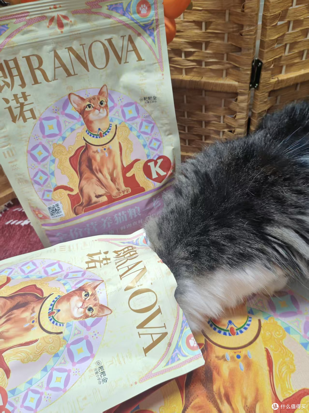 国庆返乡想拆掉猫粮外袋省行李:先把退换条款和批号留下