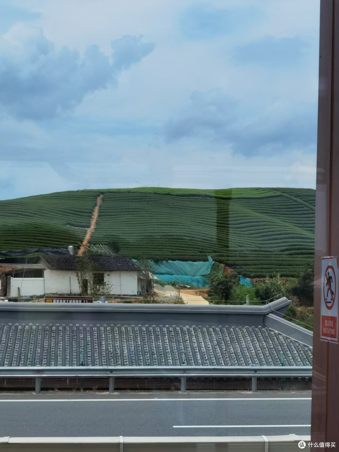 茶山风景