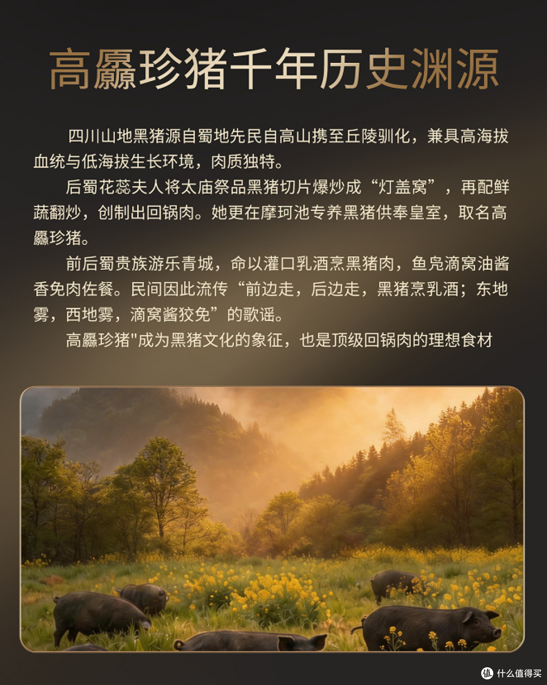 七环牧场・高厵珍猪，藏在高原里的本真肉香