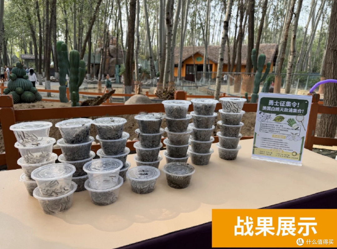 北京野生动物园办抓毛毛虫大赛,两天抓了 7 万条