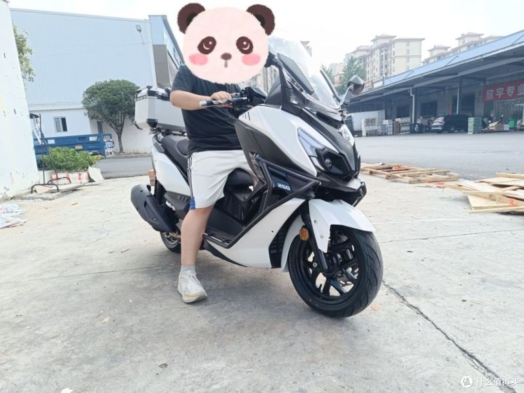 第一次骑上巡弋250——动力够不够?操控灵不灵?刹车稳不稳?