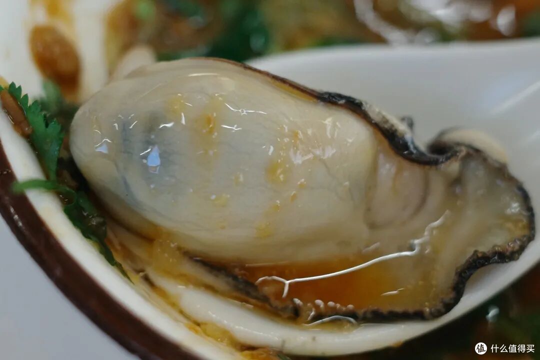 这座小城的美食有多顶,一盘生蚝就能告诉你答案