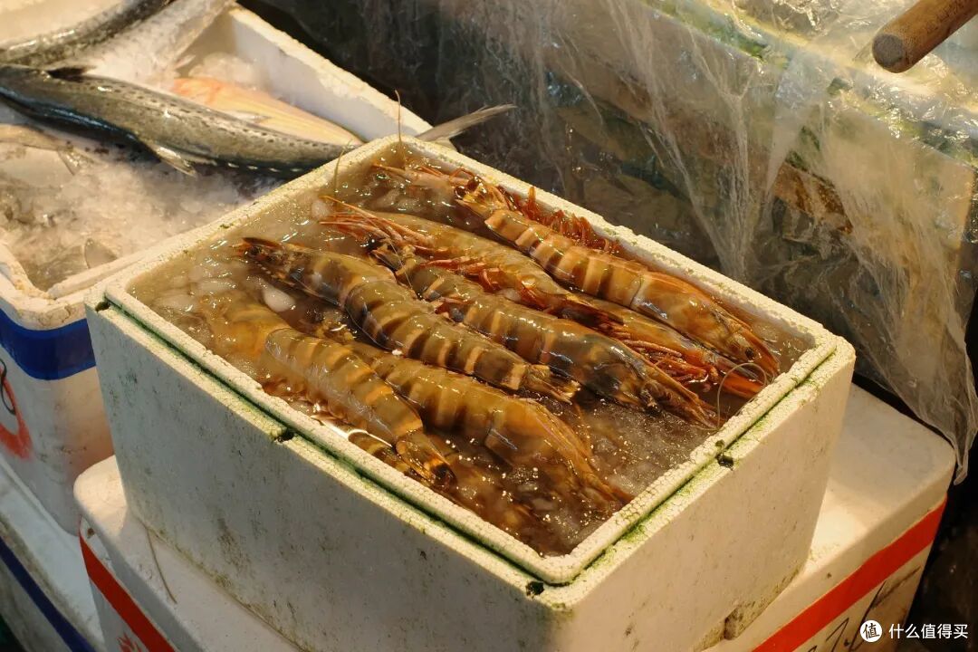 这座小城的美食有多顶,一盘生蚝就能告诉你答案