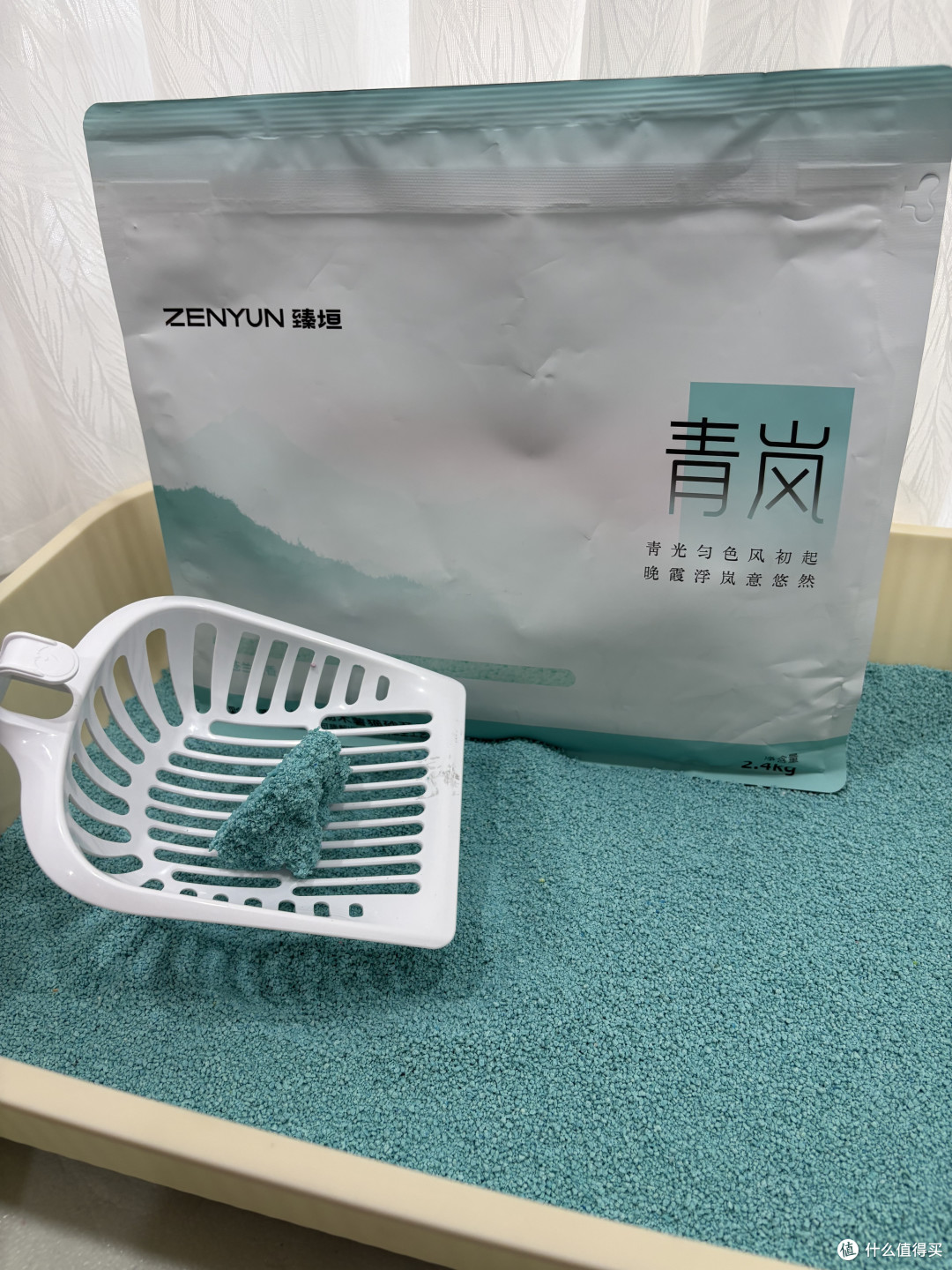 不做通货平替,精致居家养宠该如何挑选猫砂
