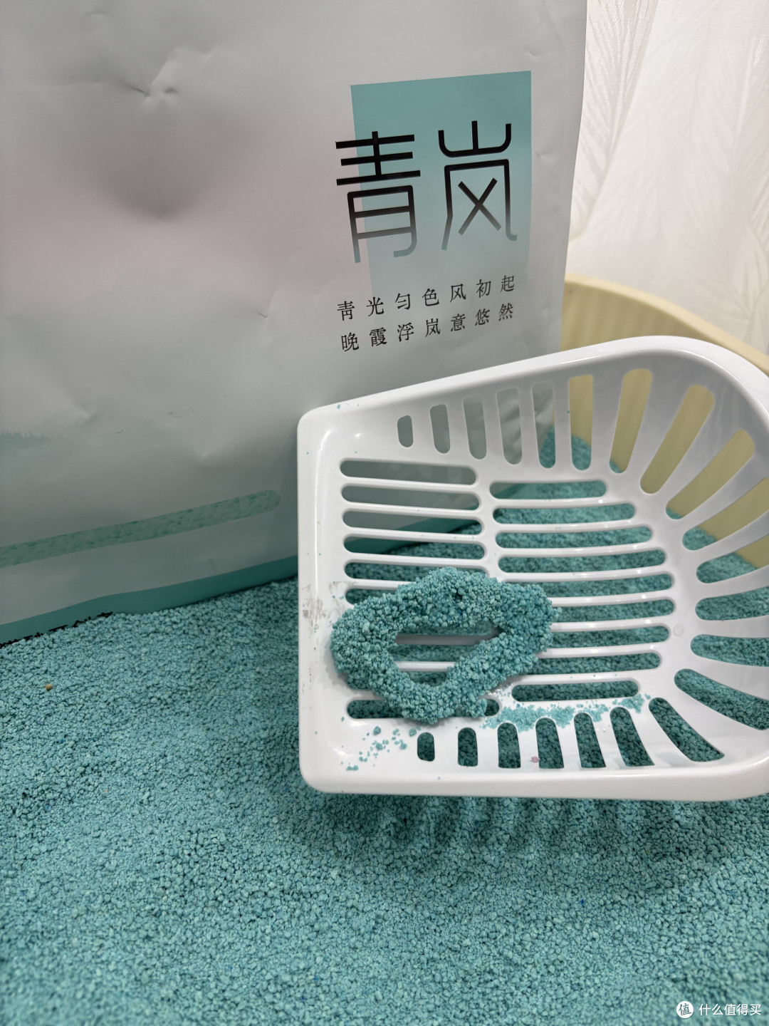 不做通货平替,精致居家养宠该如何挑选猫砂