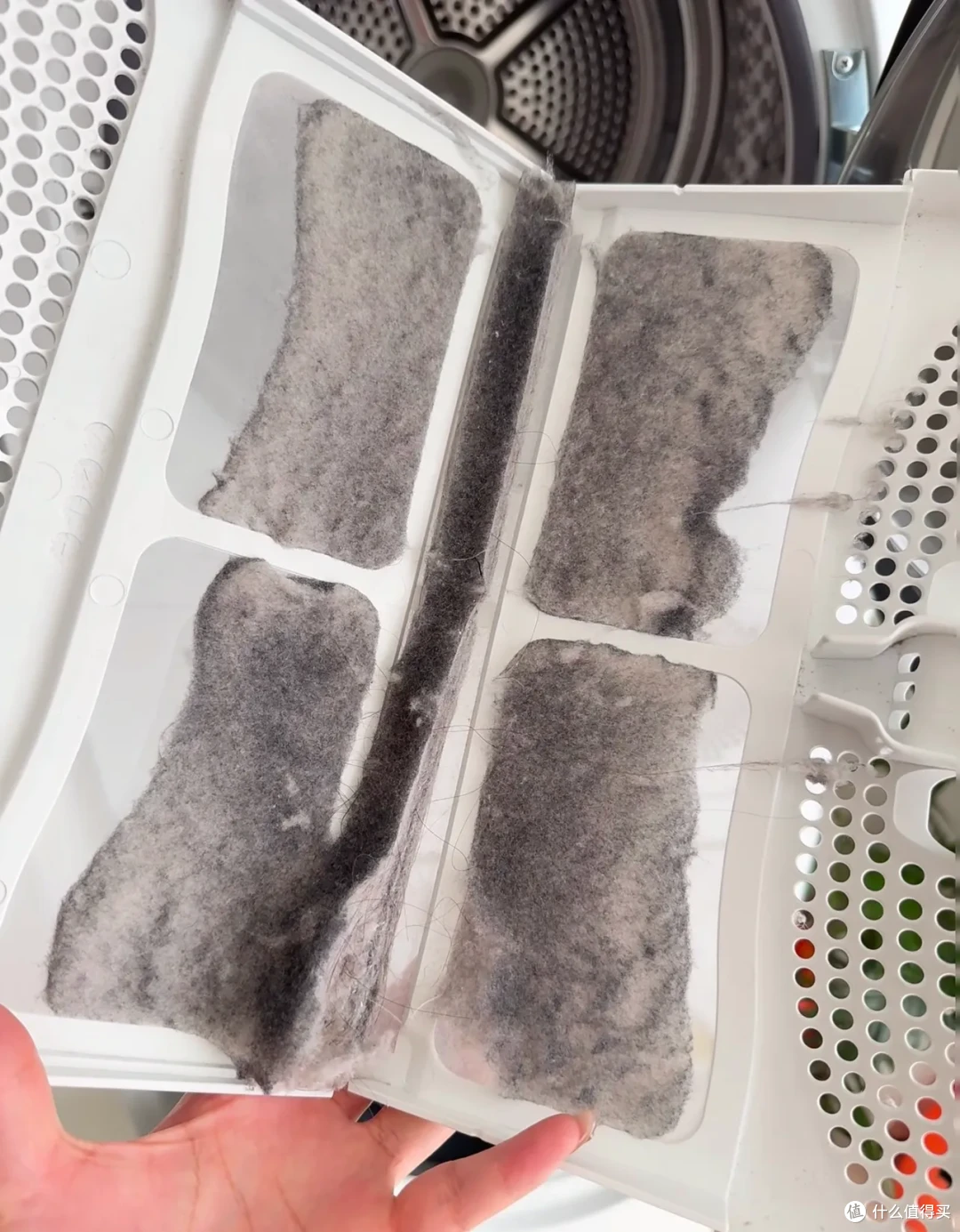 家里这种纤维灰尘哪来的?