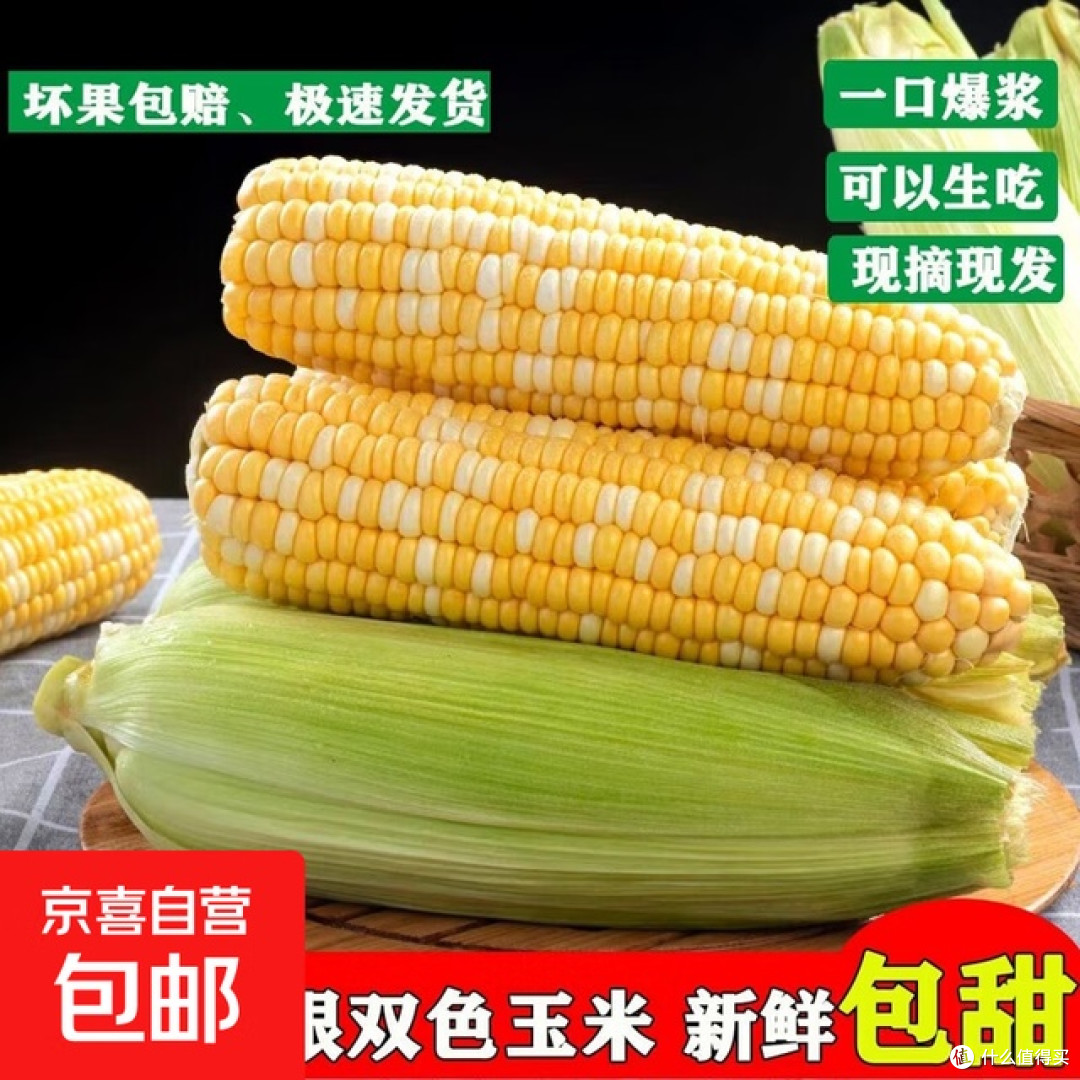玉米：土地沉默而金黄的表达