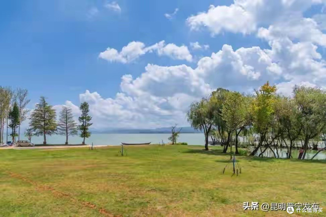 7款益生菌配方和使用感受整理 日常养护怎么选